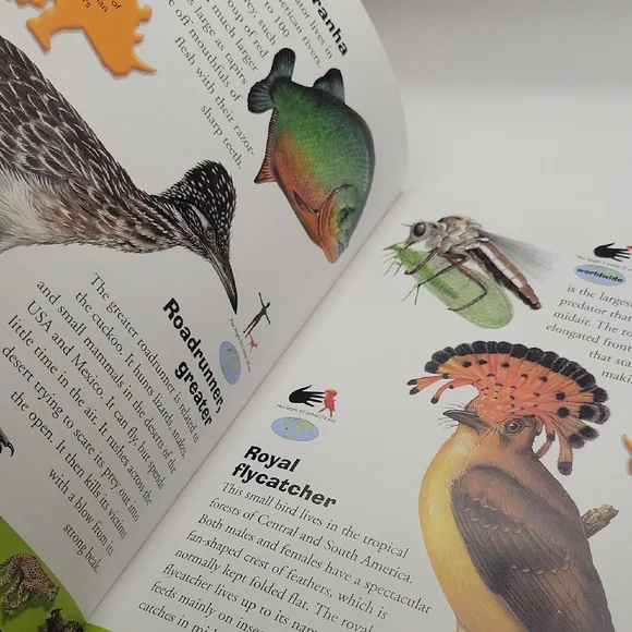 Deadly Creatures Dictionary - Picture 6 of 7